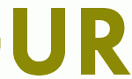 GURU2016
