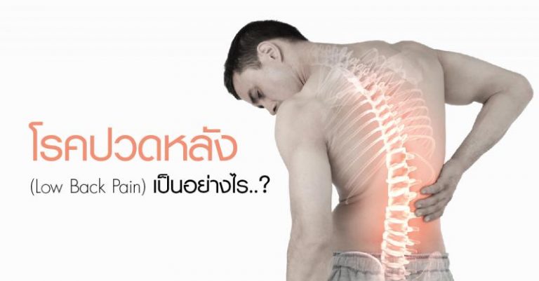 โรคปวดหลัง Low Back Pain เป็นอย่างไร