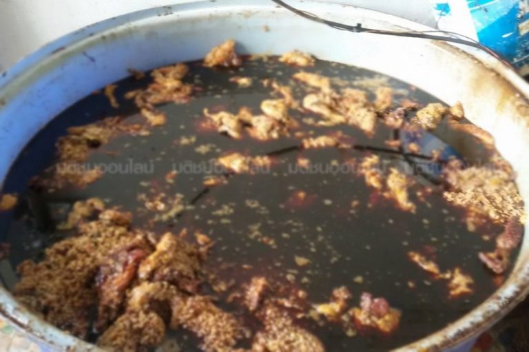 จนท.บุกจับโรงงานผลิตปลาร้าและน้ำบูดูที่อยุธยา สภาพสุดโสโครก ส่งใต้มานับ10ปี