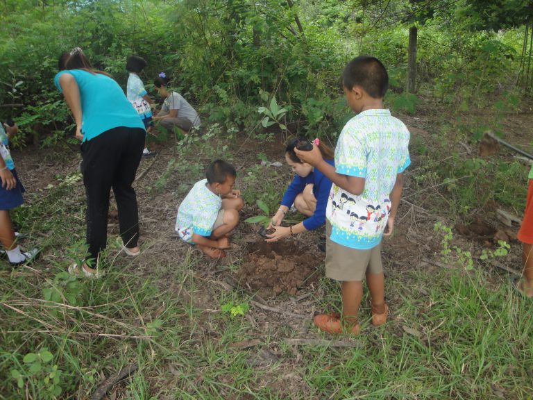 ประเทศไทย ดินแดนมหัศจรรย์แห่งพรรณไม้ 